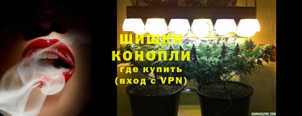 шишки Алексеевка