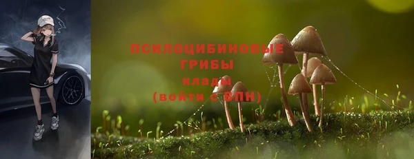 амф Абаза