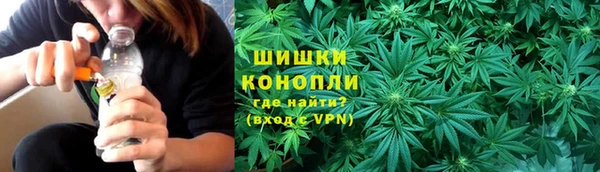 шишки Алексеевка
