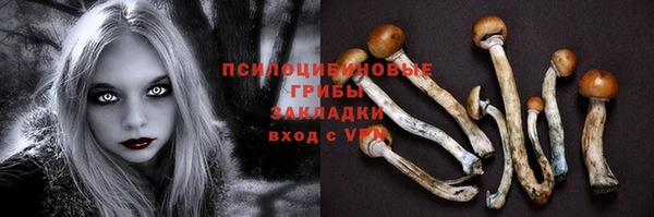 герыч Алзамай